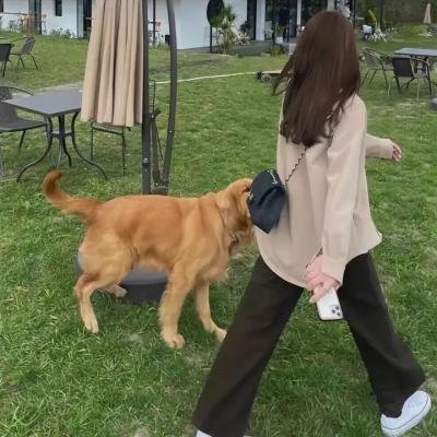 艾米